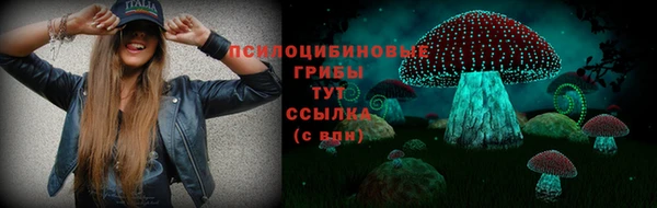 мдпв Наволоки
