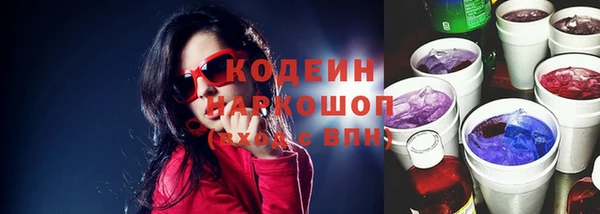 прущие грибы Надым