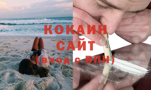 прущие грибы Надым