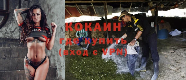 прущие грибы Надым