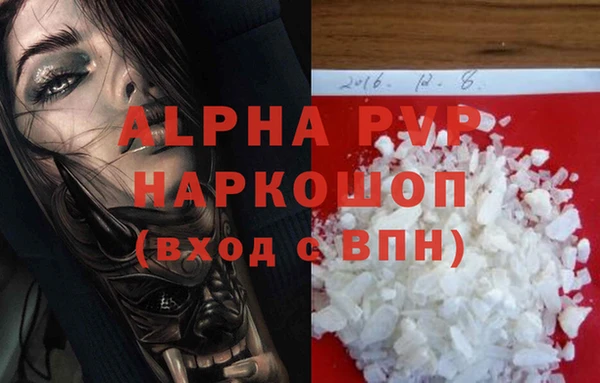 прущие грибы Надым